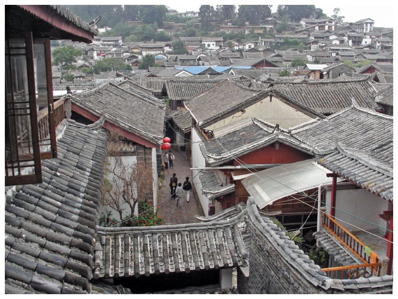 41 tygr a lijiang